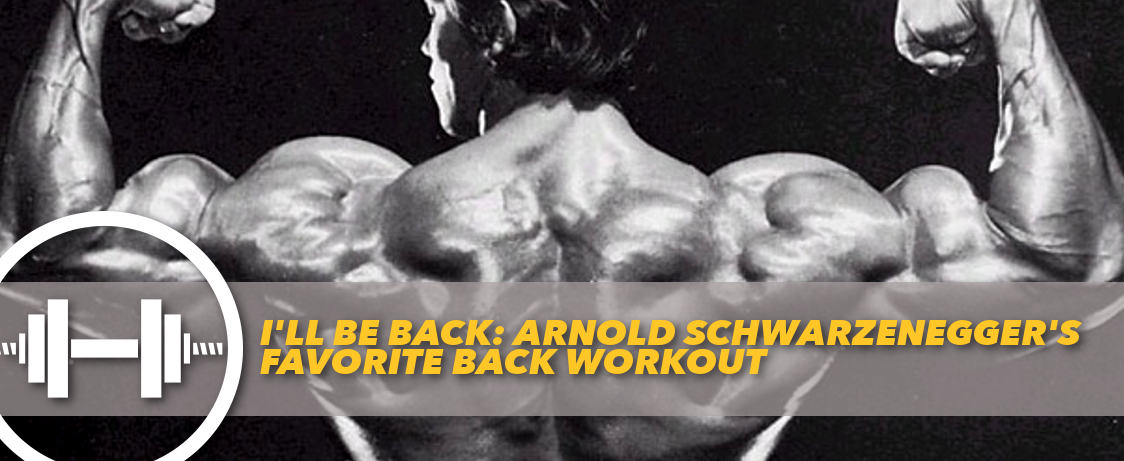 6 Day Arnold Schwarzenegger Back Workout for Push Pull Legs