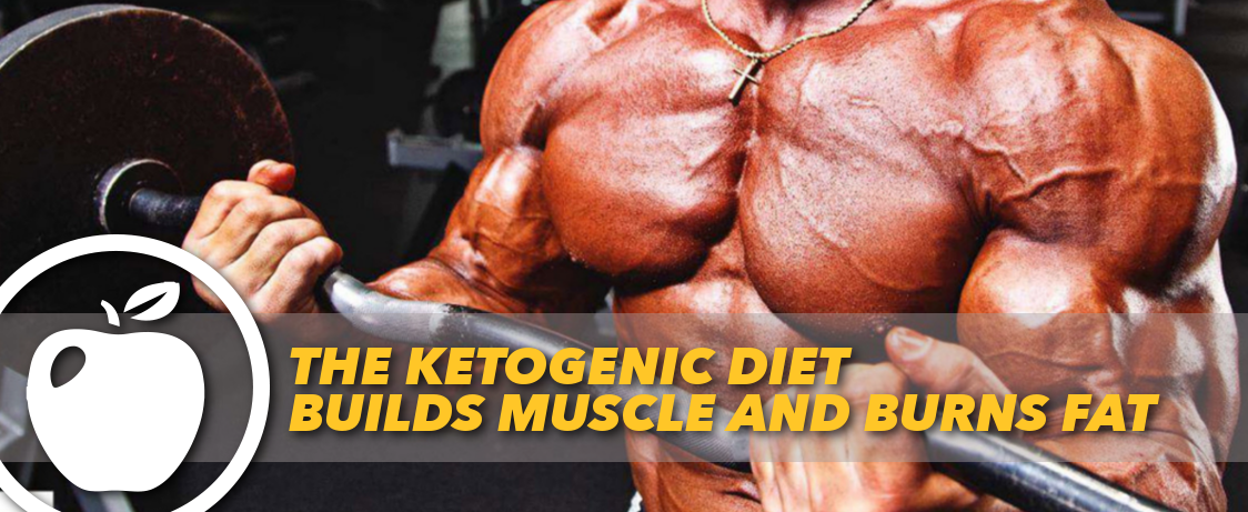 Gaining Muscle On Ketogenic Diet