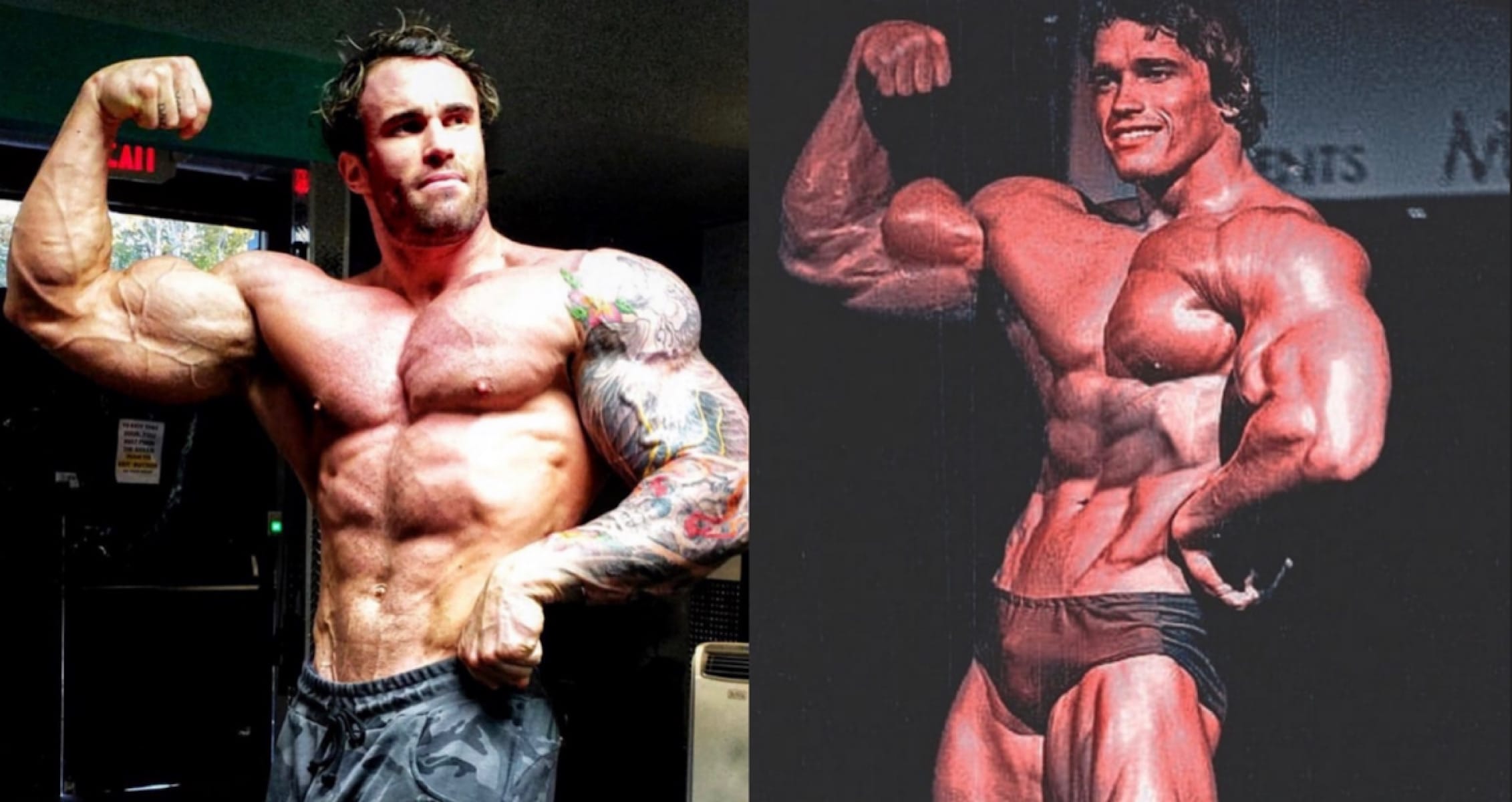 Calum Von Moger Takes Down Posters Of Arnold Schwarzenegger In Gym