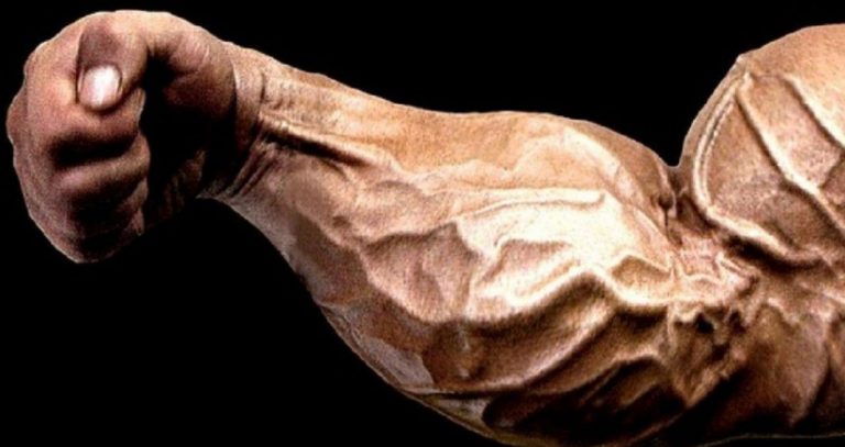 Os 4 grupos musculares mais difíceis de construir e como desenvolvê-los