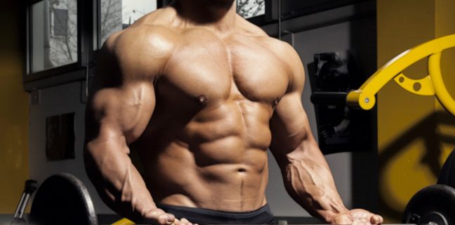 CrossFit VS Bodybuilding VS Powerlifting – qual seria melhor escolha?