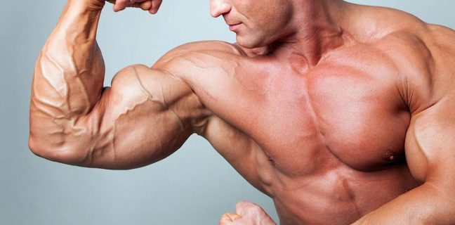 3 Exercícios para um Bíceps e Tríceps Monstruoso