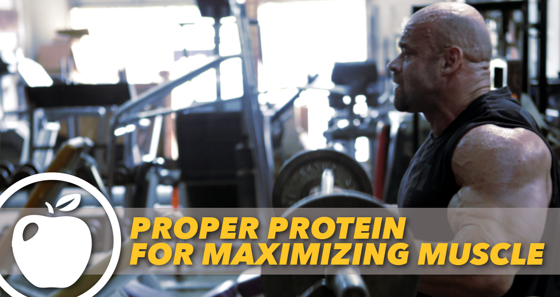 Generation Iron Protein Branch Warren