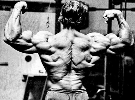 arnolds back