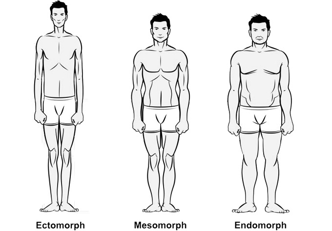 Generation Iron Body Types