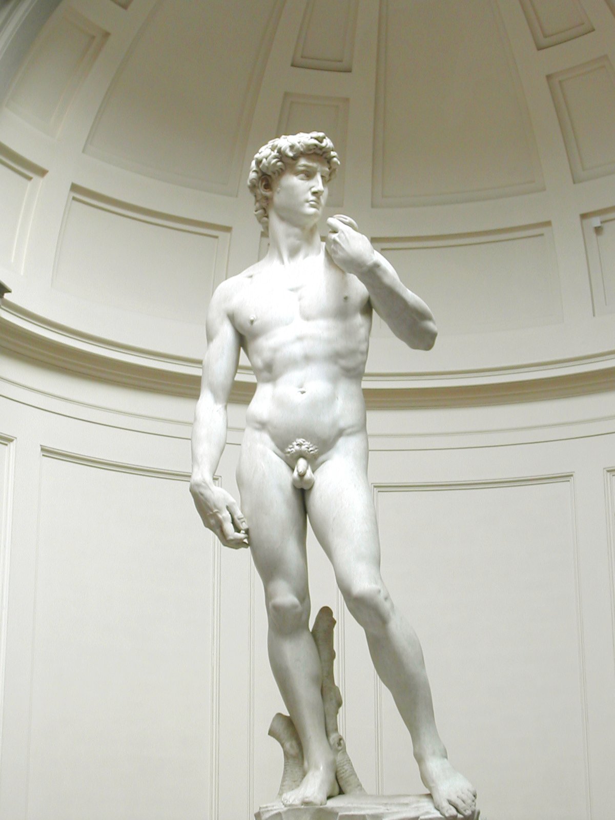 Generation Iron Statue of David
