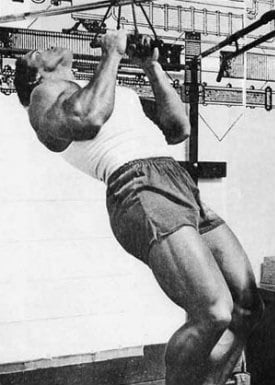 Generation Iron Arnold V Bar