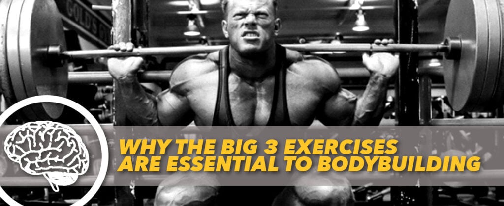 Generation Iron The Big 3 Bodybuilding exercises