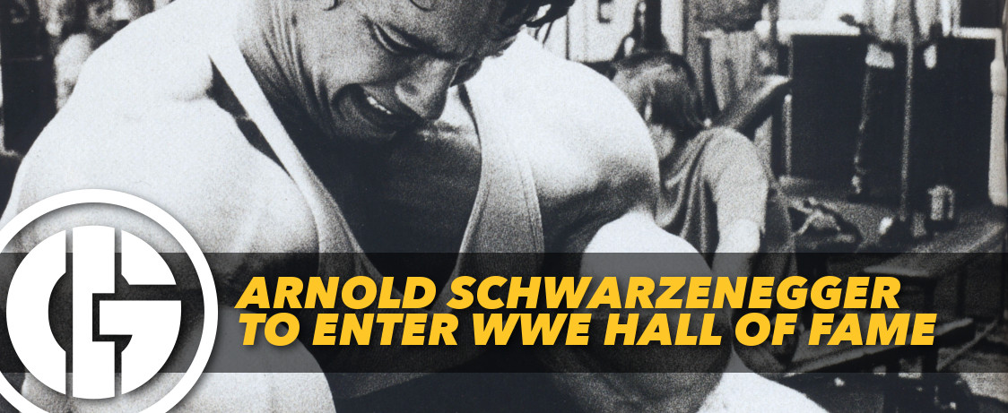 Generation Iron Arnold Schwarzenegger WWE Hall of Fame