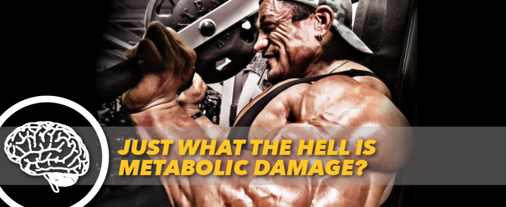 Generation Iron Metabolic Damage