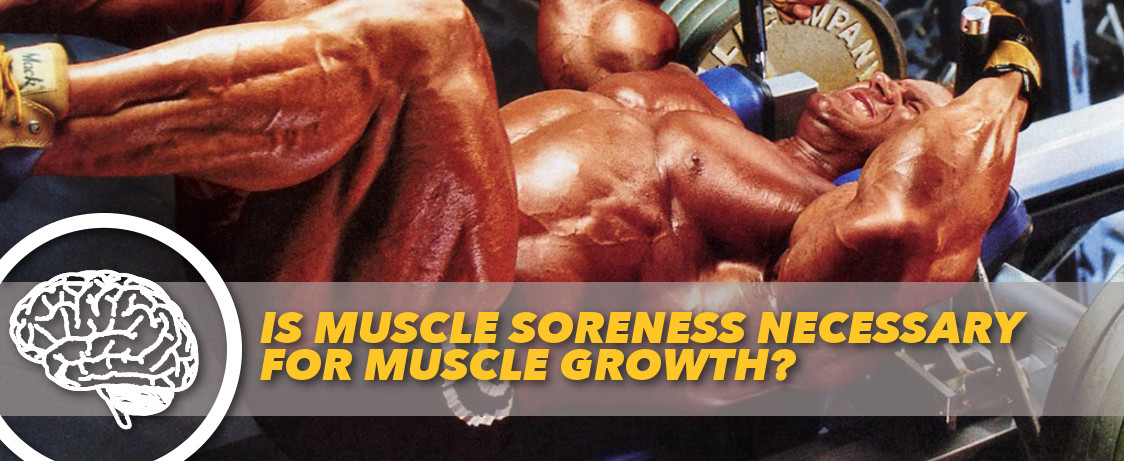Generation Iron Muscle Soreness
