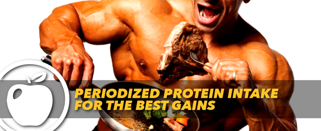 Periodized Protein Intake For The Best Gains | Generation Iron