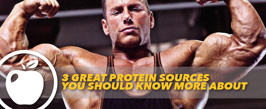 Generation Iron Protein Sources