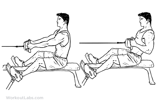 Generation Iron Seated Cable Row