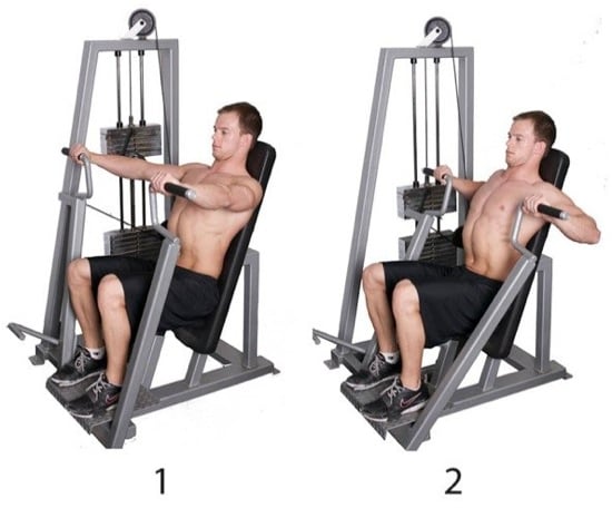 Generation Iron Chest Press Machine