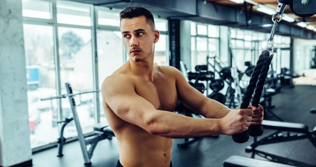 5 Exercises To Build Horseshoe Triceps