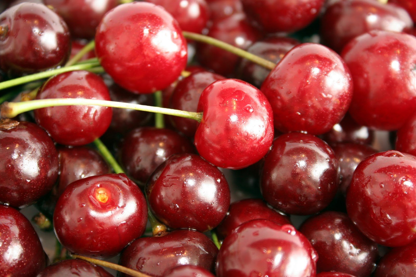 Generation Iron Cherries