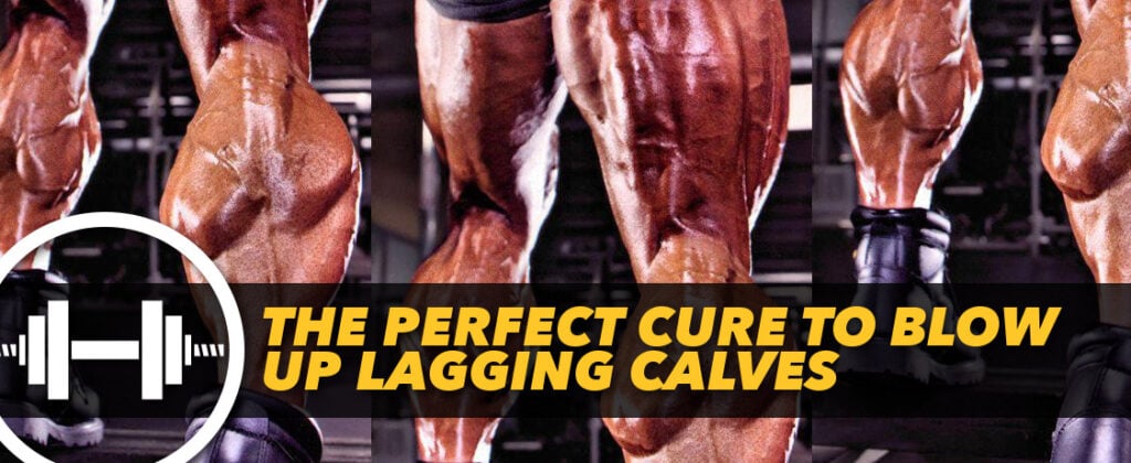 Generation Iron Calves Cure