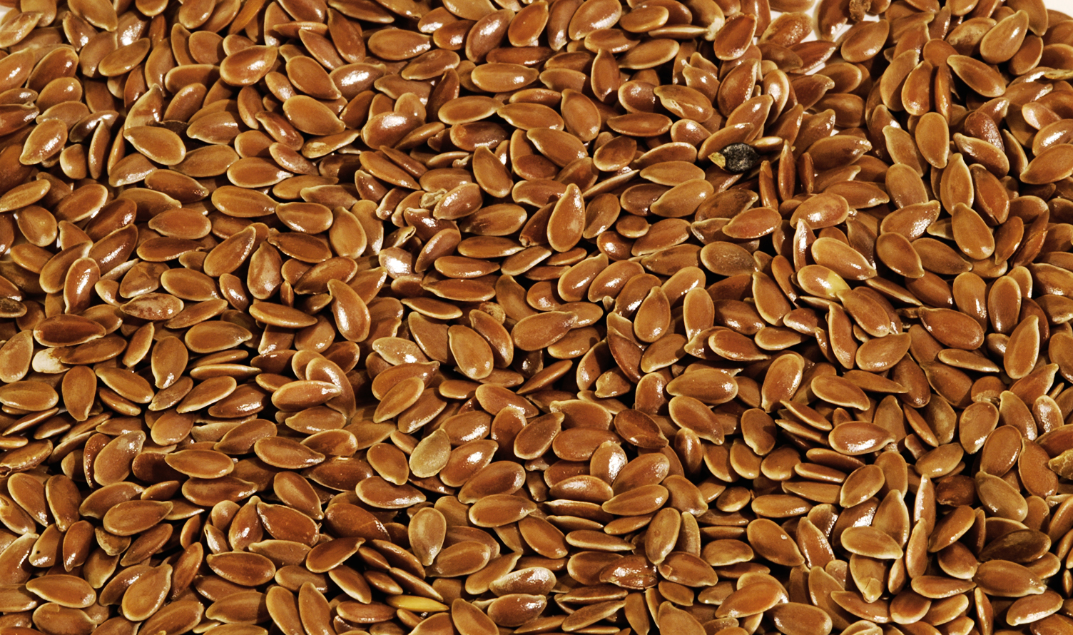 Generation Iron Flax Seed