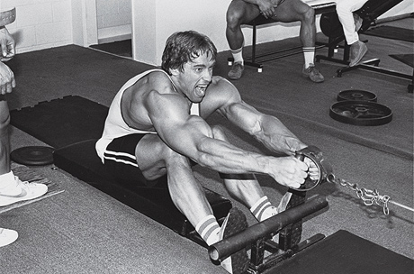 Seated-Cable-Row Arnold