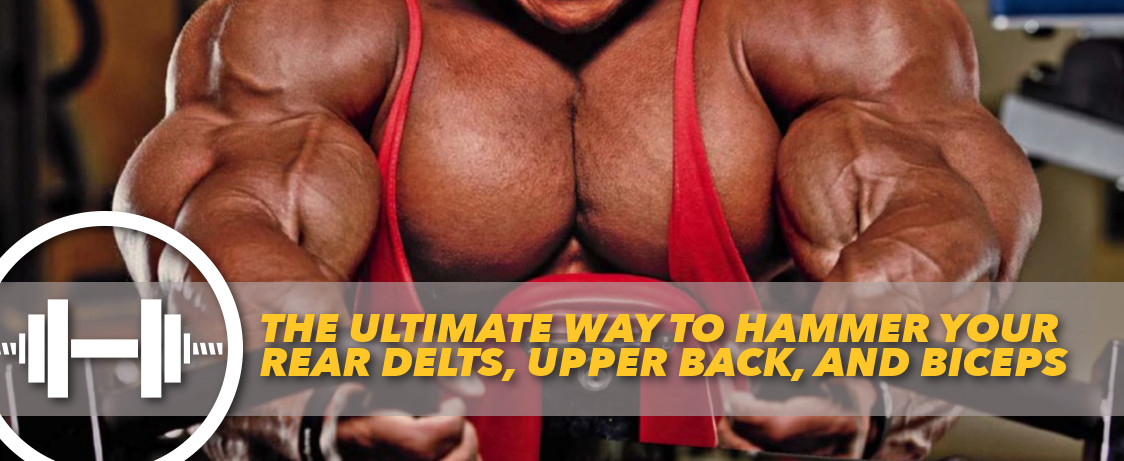 Generation Iron Delts Upper Back Biceps Exercise