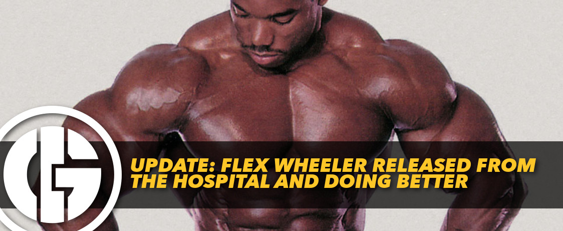 Generation Iron Flex Wheeler Hospital