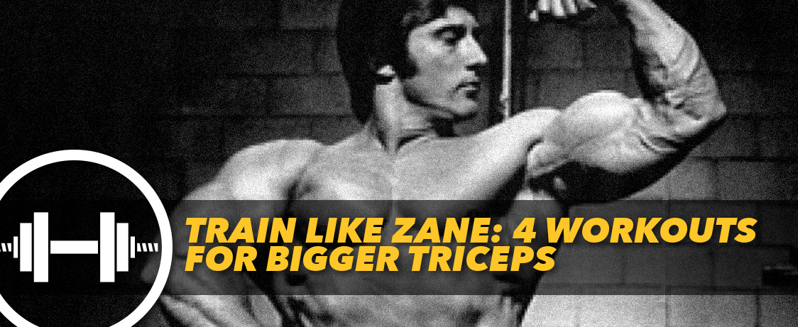 Generation Iron Frank Zane Triceps Workout