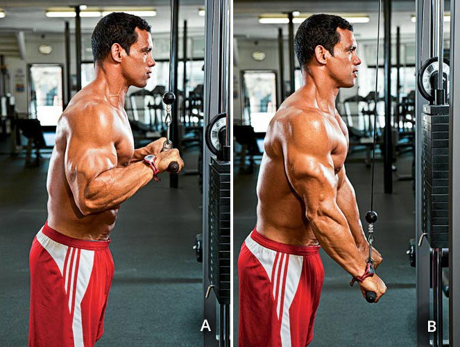 Train Like Zane: 4 Workouts For Bigger Triceps | Generation Iron