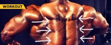 Build A Mutant Back Generation Iron