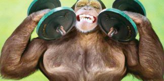 Bodybuilder Monkey Generation Iron