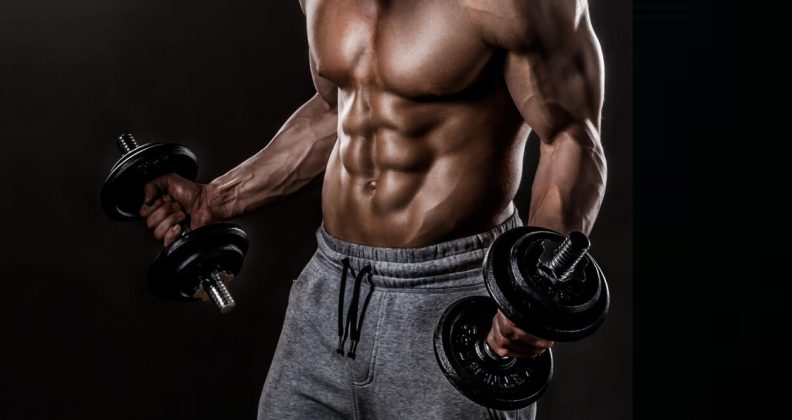 The 10 Highest-Rated Bicep Exercises - Generation Iron
