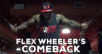 Flex Wheeler Comeback Documentary Generation Iron