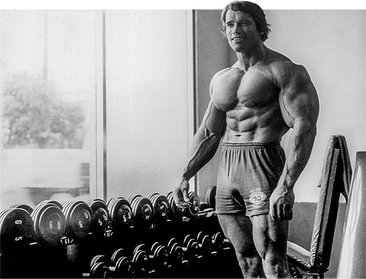 arnold blueprint to mass phase 3