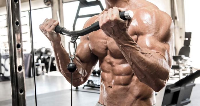 The Machine-Only Bicep Workout For Building Huge Biceps