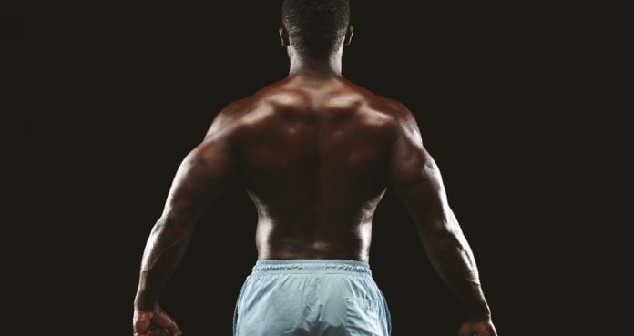 Exercise to Build Big Back Muscles