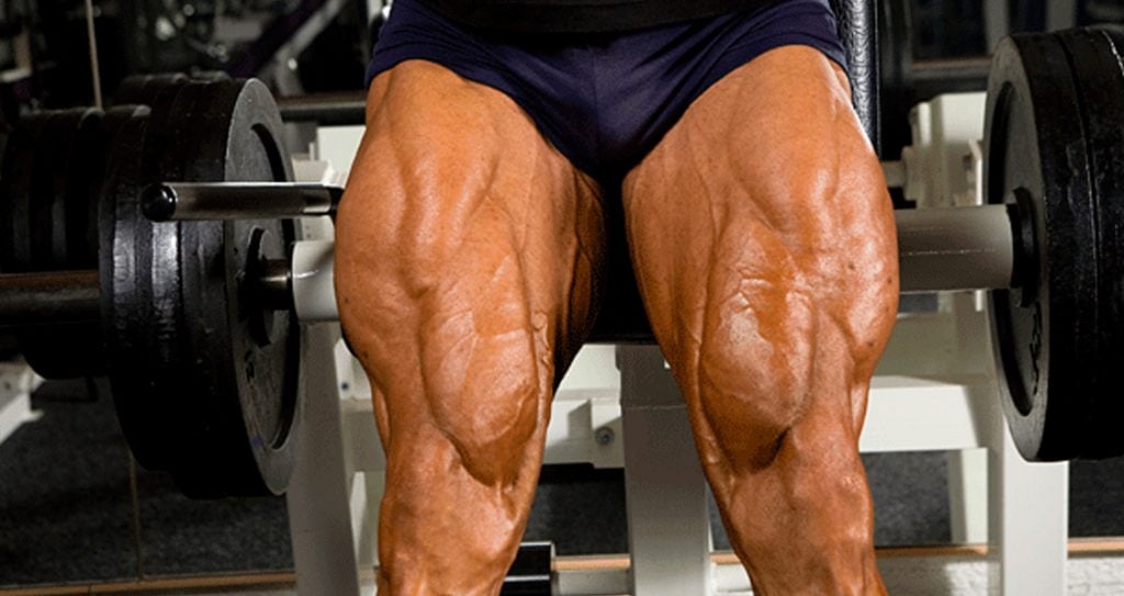 4 Most Effective Leg Workouts at Home (with Bench)-RitFit