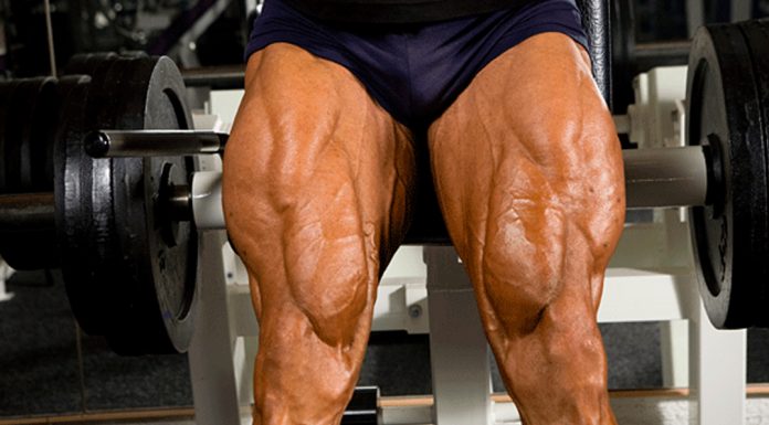 5 Exercises for Shredded Legs