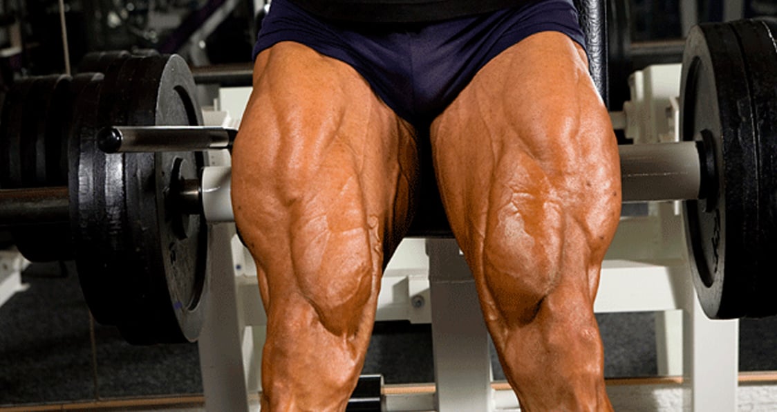 5 Exercises for Shredded Legs