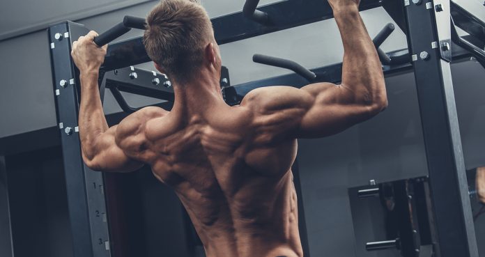 How to Double Your Pull Up in 6 Weeks