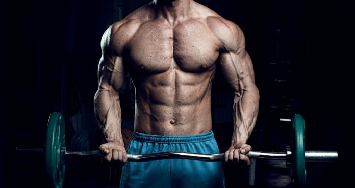 Bodybuilding & Fitness News  Generation Iron The No.1 Fitness &  Bodybuilding Network.