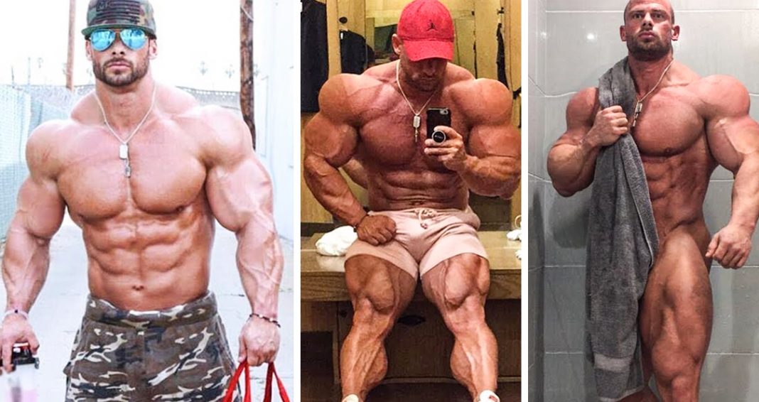 Joey Swoll Profile And Stats Generation Iron Fitness Strength joey-swoll-profile-and-stats-generation-iron-fitness-strength
