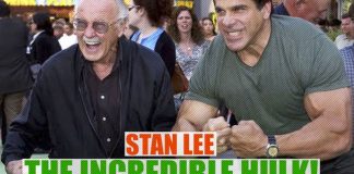 Stan Lee The Incredible Hulk Story Generation Iron