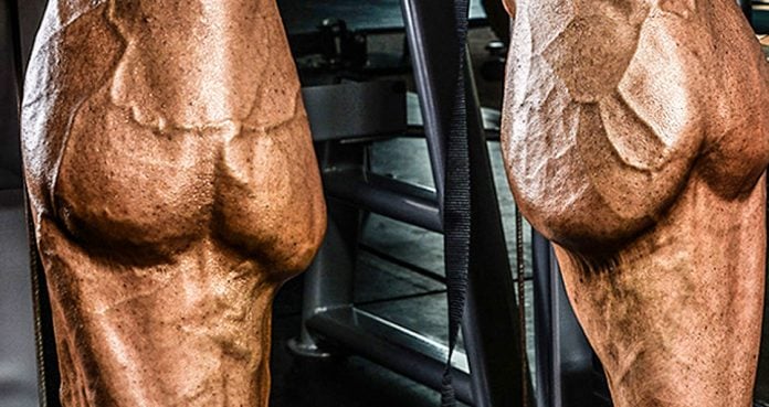 5 Rules of Building Monstrous Calves