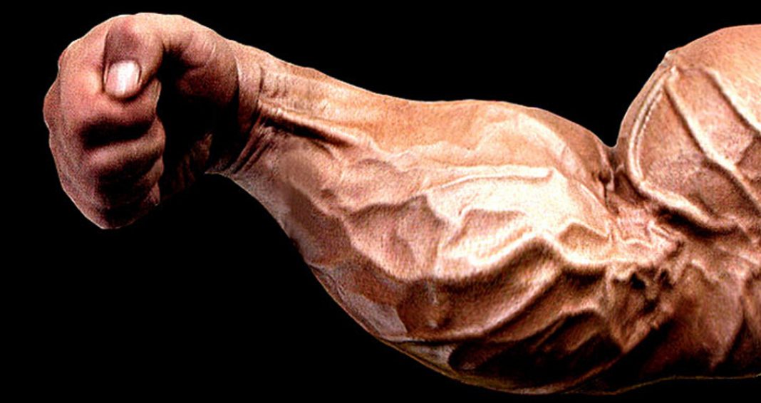 10 Exercises For Thicker Forearms Generation Iron 