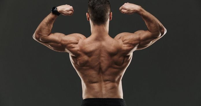 The 10 Best Back Exercises For Men - Generation Iron