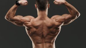 Generation Iron Exercise Guide Lats