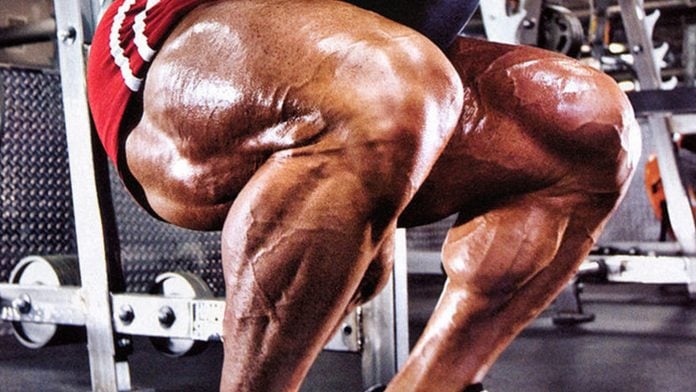 Generation Iron Exercise Guide Quads