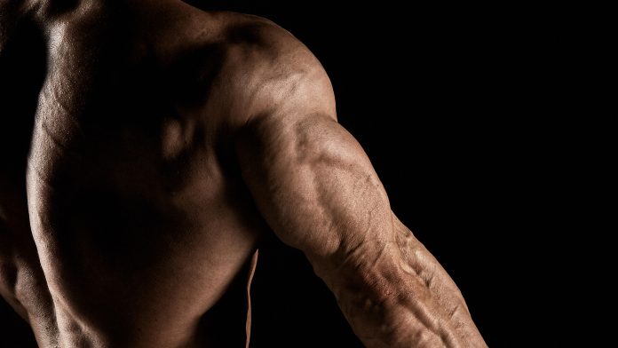 Generation Iron Exercise Guide Triceps