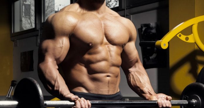 10 Reasons Bodybuilders Are Bigger Than Powerlifters