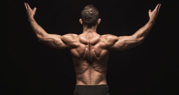 Premium Photo  Rear view of muscular man with his arms stretched out